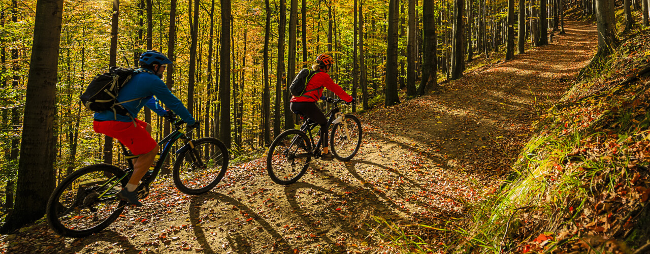 5 Ways You Can Increase Your Daily Physical Activity