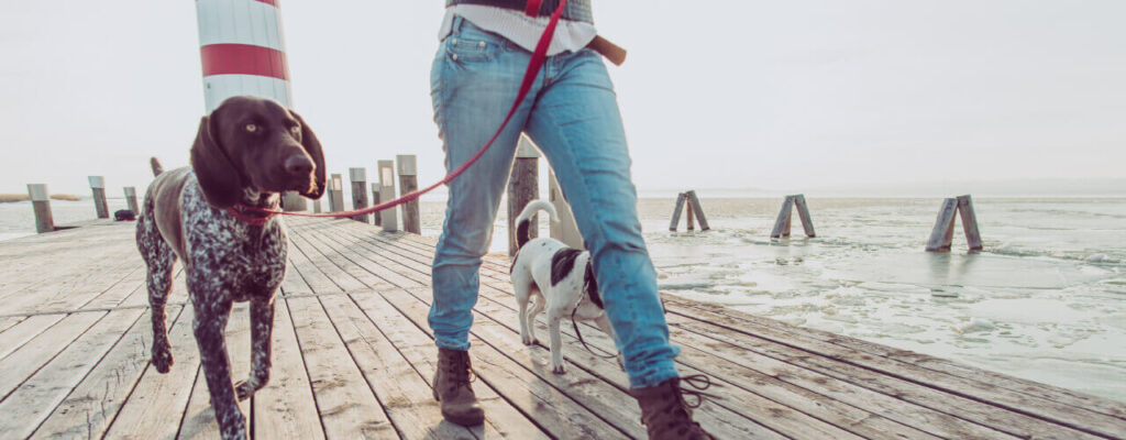 5 ways to add more physical activity into your life!