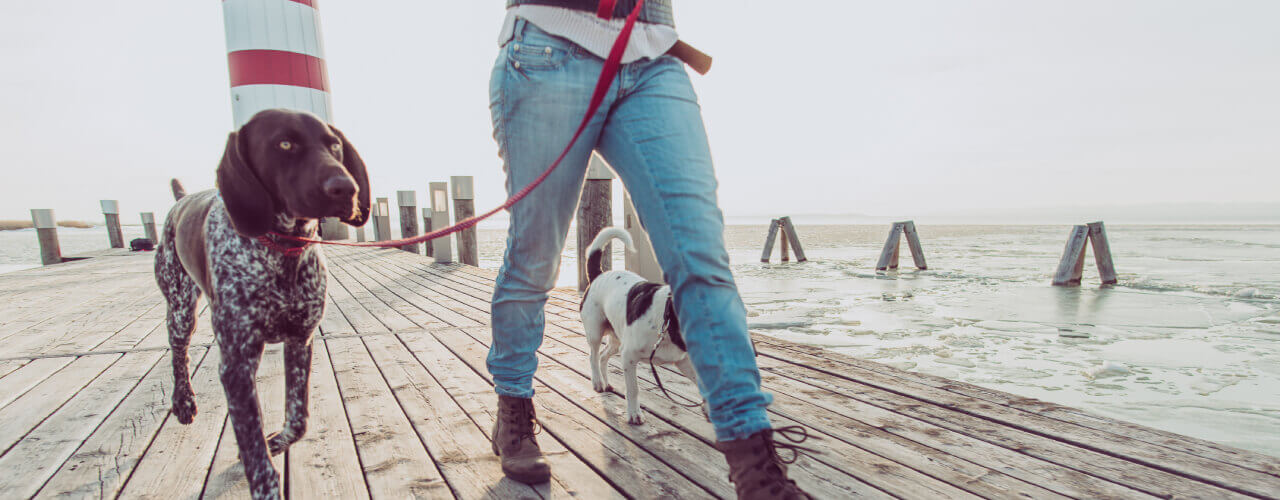 5 ways to add more physical activity into your life!